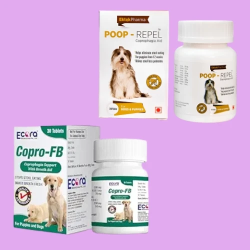 Coprophagia Care