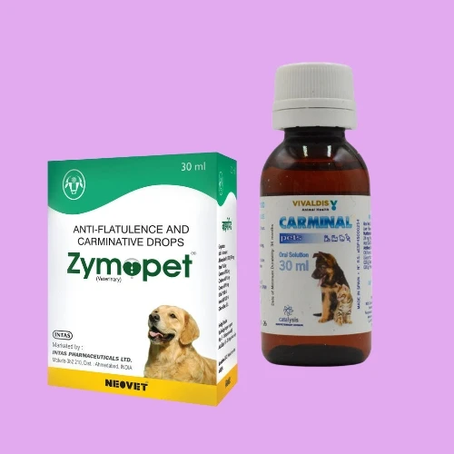 Digestive Care